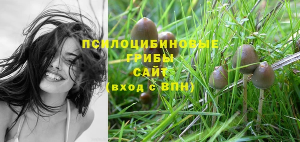 шишки Алексеевка